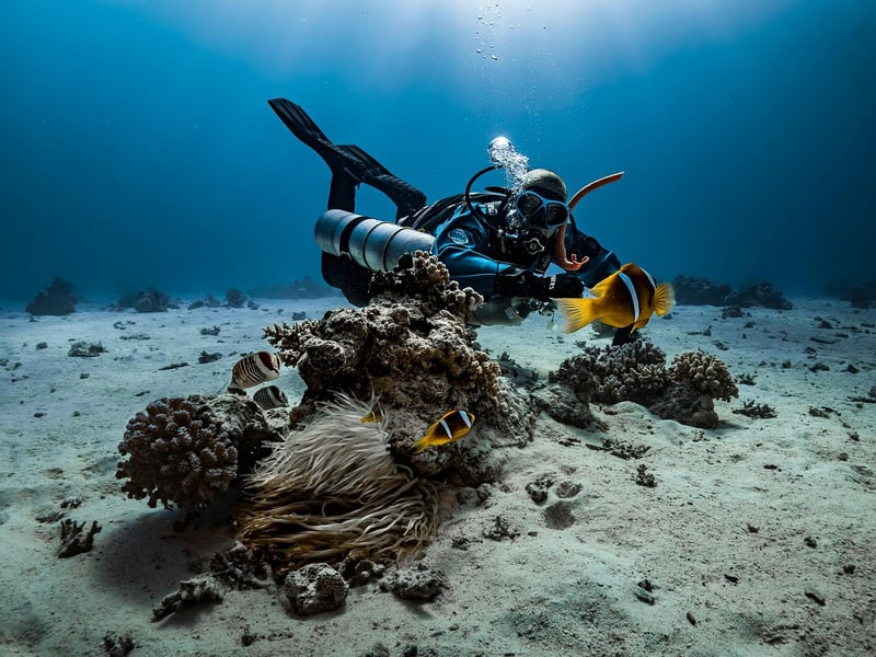 SS Thistlegorm